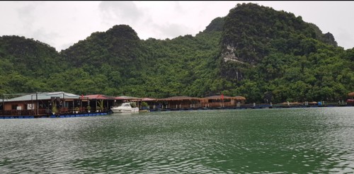 Exploring unique Ha Long Heritage Journey - ảnh 6