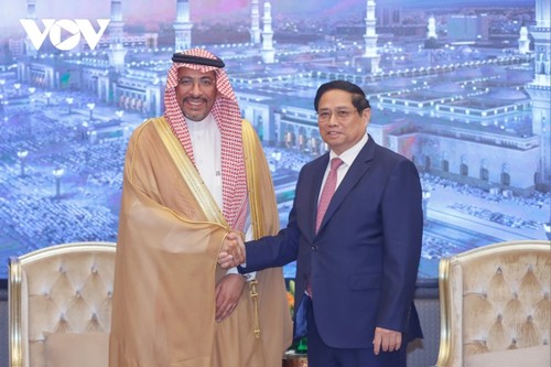 PM suggests Vietnam, Saudi Arabia raise two-way trade to 5-10 billion USD - ảnh 1