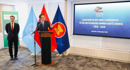 Vietnam pledges to contribute responsibly to UN human right activities - ảnh 1