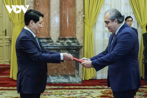 President Luong Cuong receives new foreign ambassadors - ảnh 2