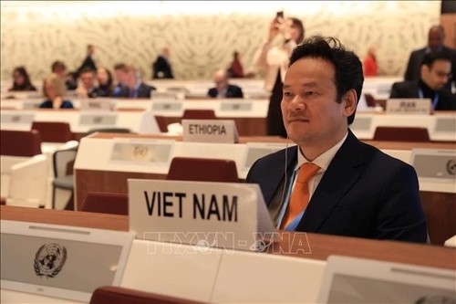 Vietnam supports disarmament, non-proliferation of nuclear weapons: Ambassador - ảnh 1