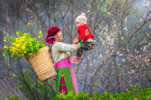 Naming ritual of the Mong ethnic minority - ảnh 1