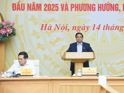 PM intensifies crackdown on trade fraud, counterfeit goods - ảnh 1