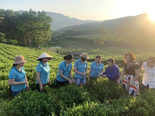 Ghenh Che Lake, emerald gem of Thai Nguyen province - ảnh 2
