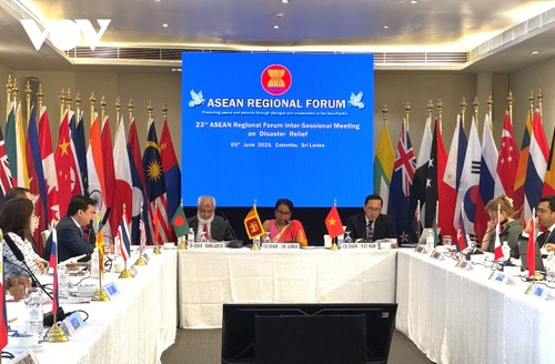 Vietnam co-chairs 23rd ARF inter-sessional meeting on disaster relief - ảnh 1