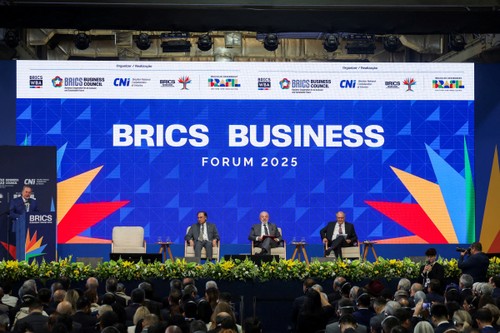BRICS adopts joint proposal on IMF reform - ảnh 1