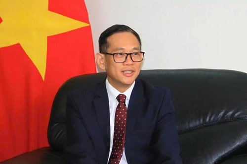 Vietnam strengthens cooperation with African countries, addresses global issues - ảnh 2