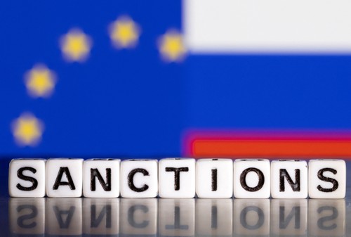 Countries impose more sanctions on Russia - ảnh 1