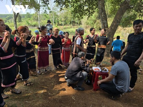 Jrai’s rain praying ceremony showcases harmony of people, nature, and faith - ảnh 3