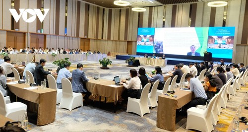 Da Nang seeks trade connections, export promotion opportunities - ảnh 1