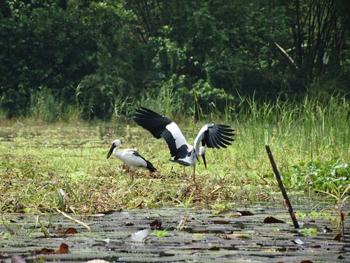 Wednesday October 8, 2025 - ảnh 3