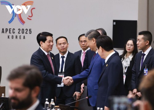 Vietnam proposes key directions for APEC cooperation - ảnh 3