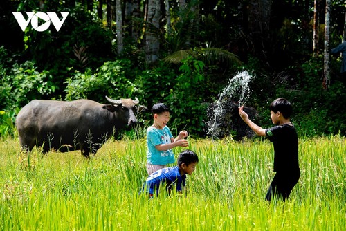 Loc Yen village, a “fairyland” in central region - ảnh 4