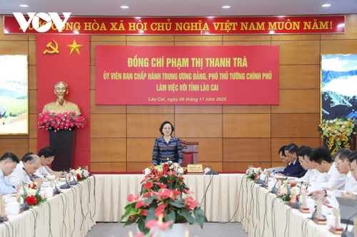 Lao Cai seeks strategic investors for Sa Pa Airport project - ảnh 1