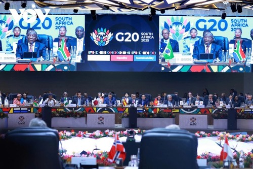 Vietnam ready for active, equal, mutually beneficial cooperation - ảnh 2