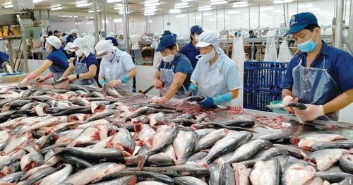 Vietnam targets 11 billion USD seafood exports in 2025 - ảnh 1