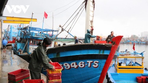 Vietnam works toward sustainable fisheries sector - ảnh 1