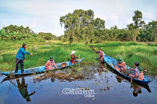 Exploring U Minh Ha cajuput forest by wooden sampan - ảnh 4