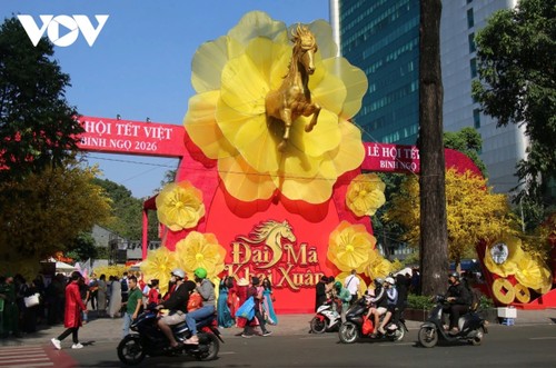 Tet atmosphere fills the apricot blossom, calligraphy pedestrian streets - ảnh 1