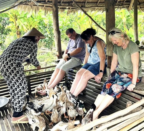 Experience slow journeys, living traditions in Can Tho - ảnh 4