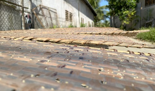 Experience slow journeys, living traditions in Can Tho - ảnh 9