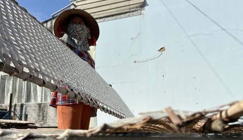 Experience slow journeys, living traditions in Can Tho - ảnh 7