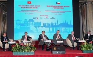 Vietnam, Czech Republic solidify friendship - ảnh 2