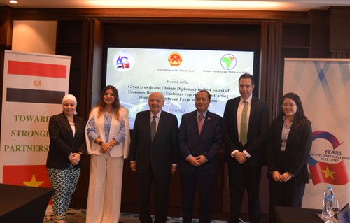 Vietnam, Egypt exchange experience in green finance attraction - ảnh 1