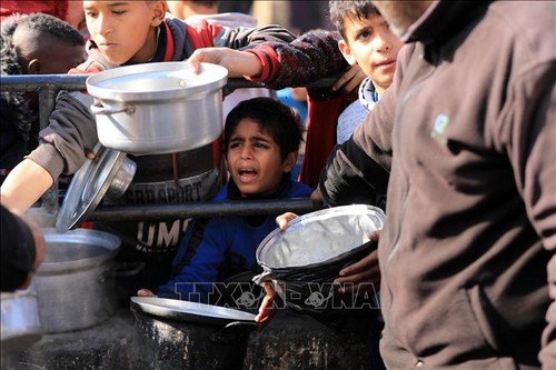 WFP halts distribution in northern Gaza until safety improves - ảnh 1