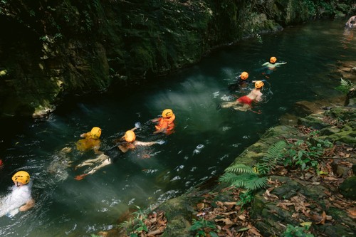 Vietnam’s tourism enhances digital transformation towards green, sustainable growth - ảnh 4