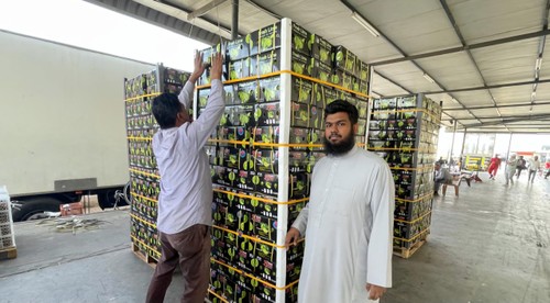 Long An boosts lemon export to Middle East  - ảnh 2