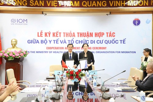 Vietnam, IOM foster cooperation in improving migrants’ health service - ảnh 1