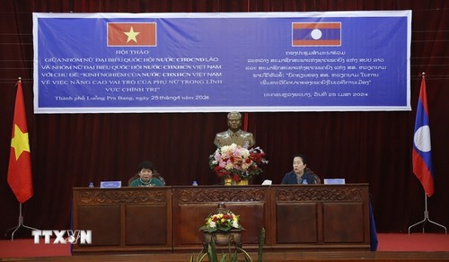 Vietnam, Laos maintain close National Assembly coordination  - ảnh 1