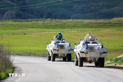 UN Security Council concerned about attacks on peacekeepers in Lebanon - ảnh 1