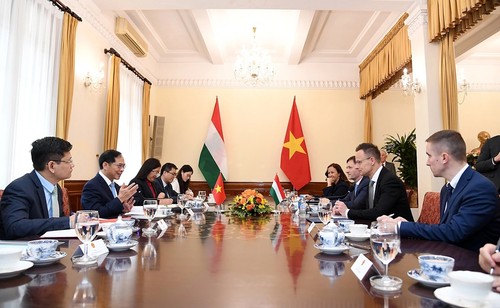 Nuclear power cooperation set to strengthen Vietnam-Hungary ties - ảnh 2