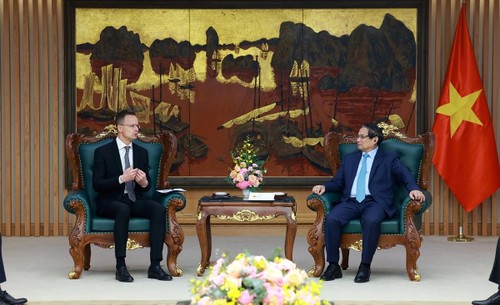 Nuclear power cooperation set to strengthen Vietnam-Hungary ties - ảnh 1