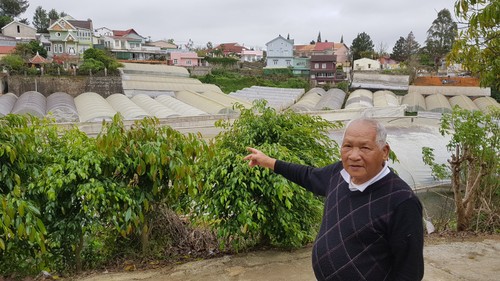 Flower villages in Lam Vien (Langbian) plateau  - ảnh 2