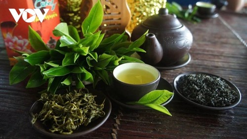 Thai Nguyen’s OCOP tea products  - ảnh 1