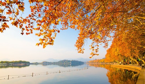West Lake and tea- cultural similarities between Hanoi and Hangzhou - ảnh 3