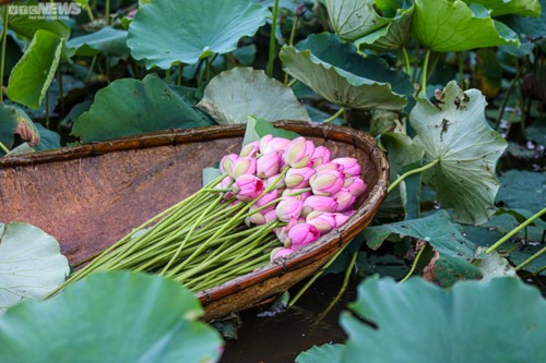 West Lake and tea- cultural similarities between Hanoi and Hangzhou - ảnh 7