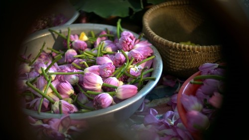 West Lake and tea- cultural similarities between Hanoi and Hangzhou - ảnh 9
