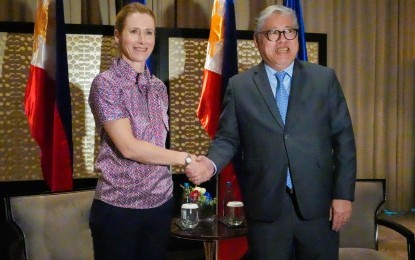 Philippines and EU to start security and defense dialogue - ảnh 1