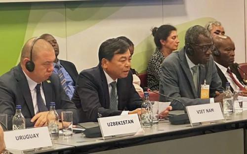 Vietnam proposes sustainable financing solutions to natural disaster resilience - ảnh 1