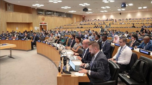 Vietnam assumes Chair of meeting of State Parties to UNCLOS - ảnh 2