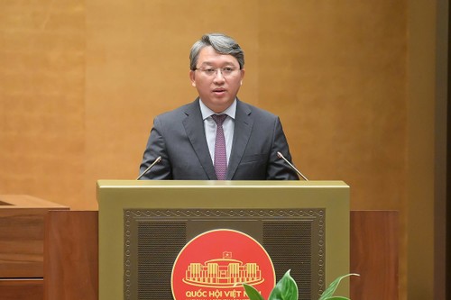 Vietnam relaxes conditions for naturalization or reinstatemen of Vietnamese nationality - ảnh 2