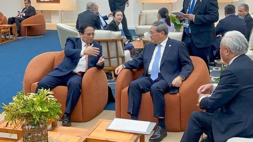 PM holds multiple activities on BRICS Summit sideline - ảnh 1
