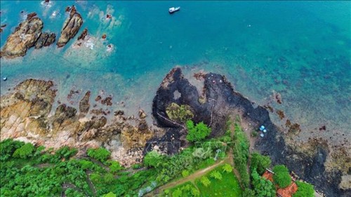 Vietnam’s tourism sector steadily improves its global position  - ảnh 1