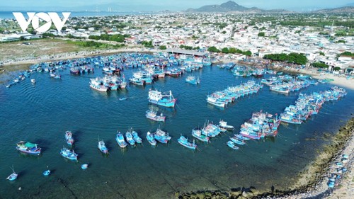 Historic merger opens new growth opportunities for Khanh Hoa - ảnh 2