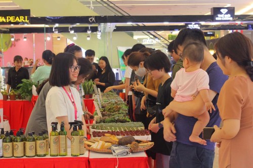 Young people lead the way in green living promotion - ảnh 2