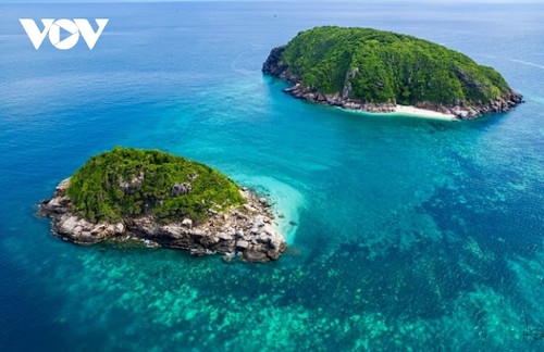 Con Dao embraces circular economy to protect nature, drive sustainable tourism  - ảnh 1